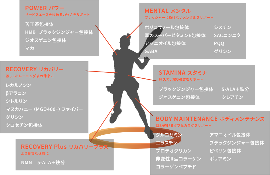 Performance Support Options